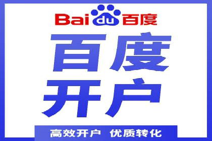 百度竞价广告投放全解析：成功案例揭秘